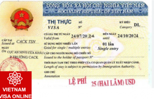 Vietnam tourist visa in emergency